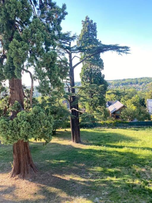 Studio Tres Agreable A Chessy Экстерьер фото